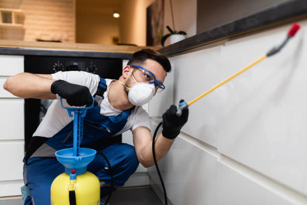 Wildlife Control Services in Downers Grove, IL