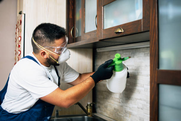 Best Bed Bug Extermination  in Downers Grove, IL