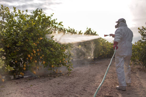 Professional Pest Control in Downers Grove, IL