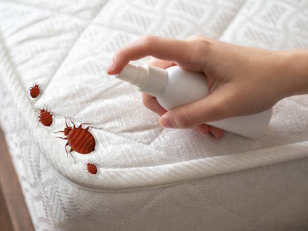 Best Best Pest Control Companies  in Downers Grove, IL