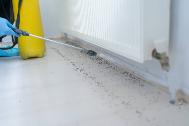 Best Pest Inspection Near Me  in Downers Grove, IL