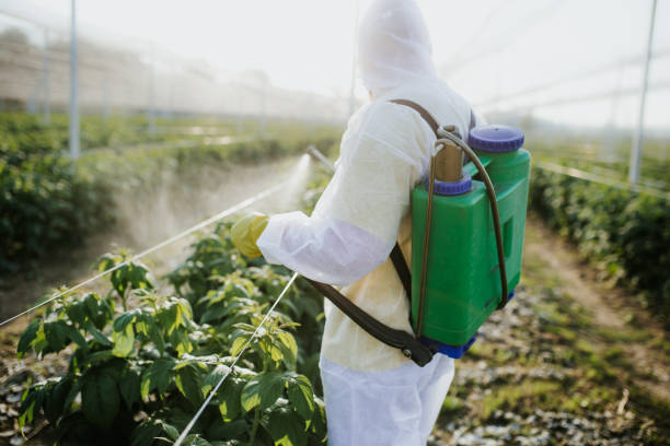 Best Exterminator Services  in Downers Grove, IL